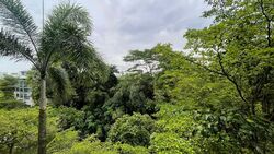 The Solitaire (D10), Condominium #521127691
